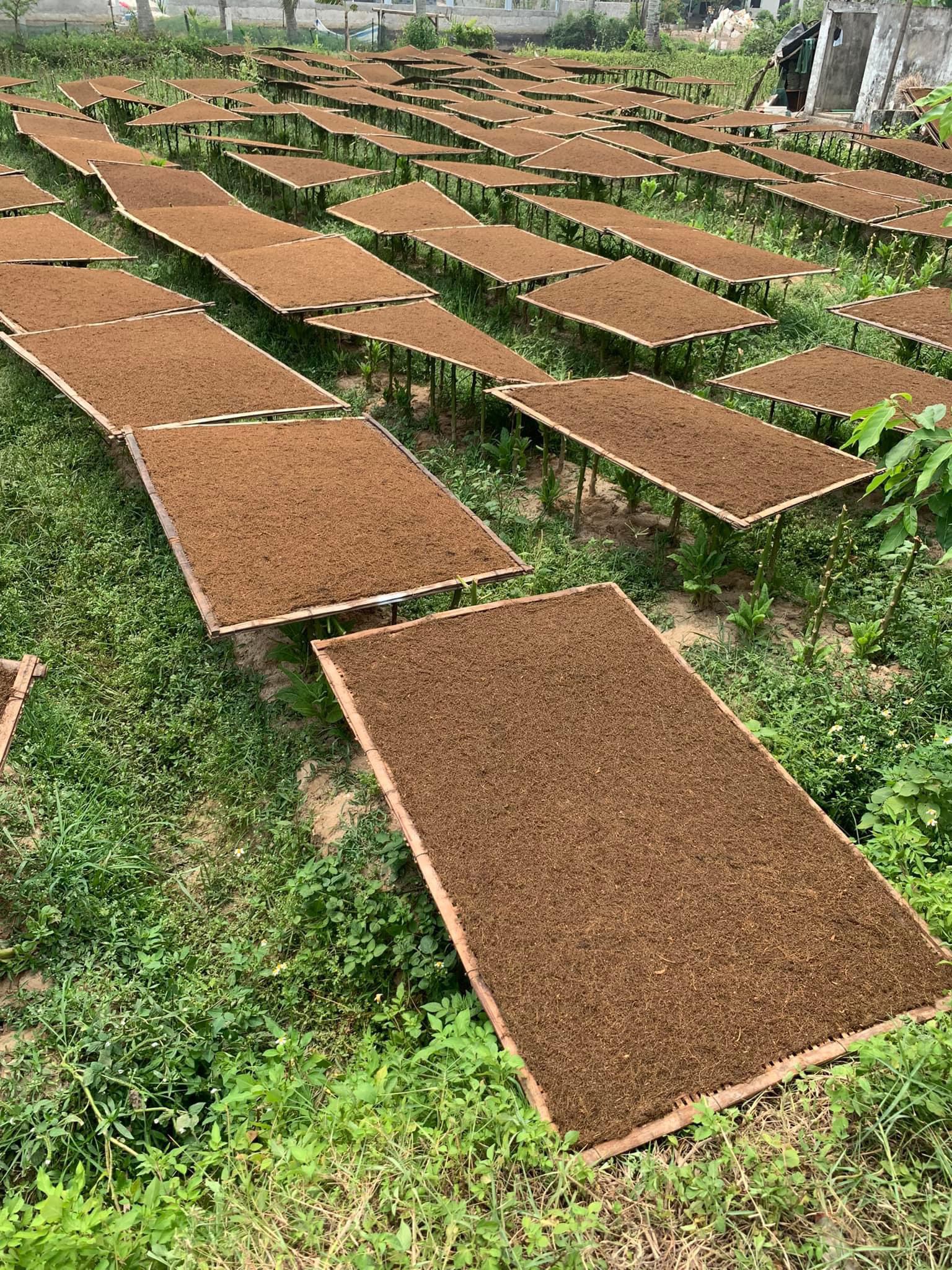 Bán Sỉ Lẻ Đặc Sản Thuốc Lào Thanh Hóa Tại Hà Nội Uy Tín Số 1 7 thuoc lao khong dang
