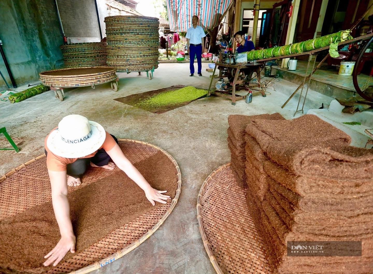 Giá thuốc Lào Quảng Xương mới nhất năm 2025 - Giá Thuốc Lào hiện Nay 5 Giá thuốc Lào Quảng Xương mới nhất năm 2025