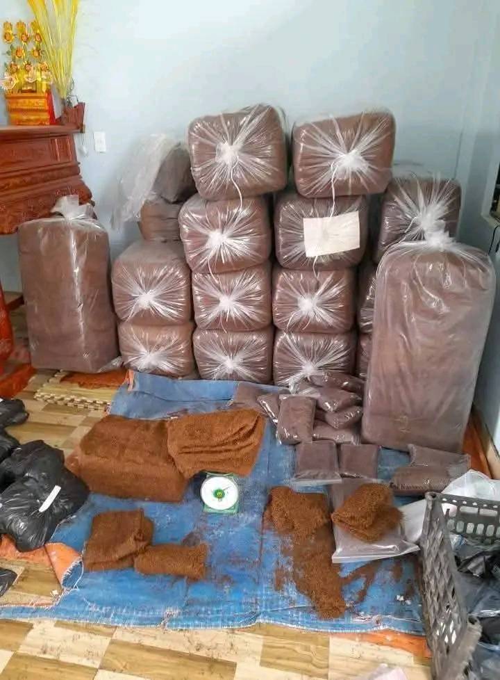Thuốc lào Quảng Xương – Đặc sản nổi tiếng xứ Thanh Hóa 5 mua thuoc lao quang xuong - thanh hoa chính gốc