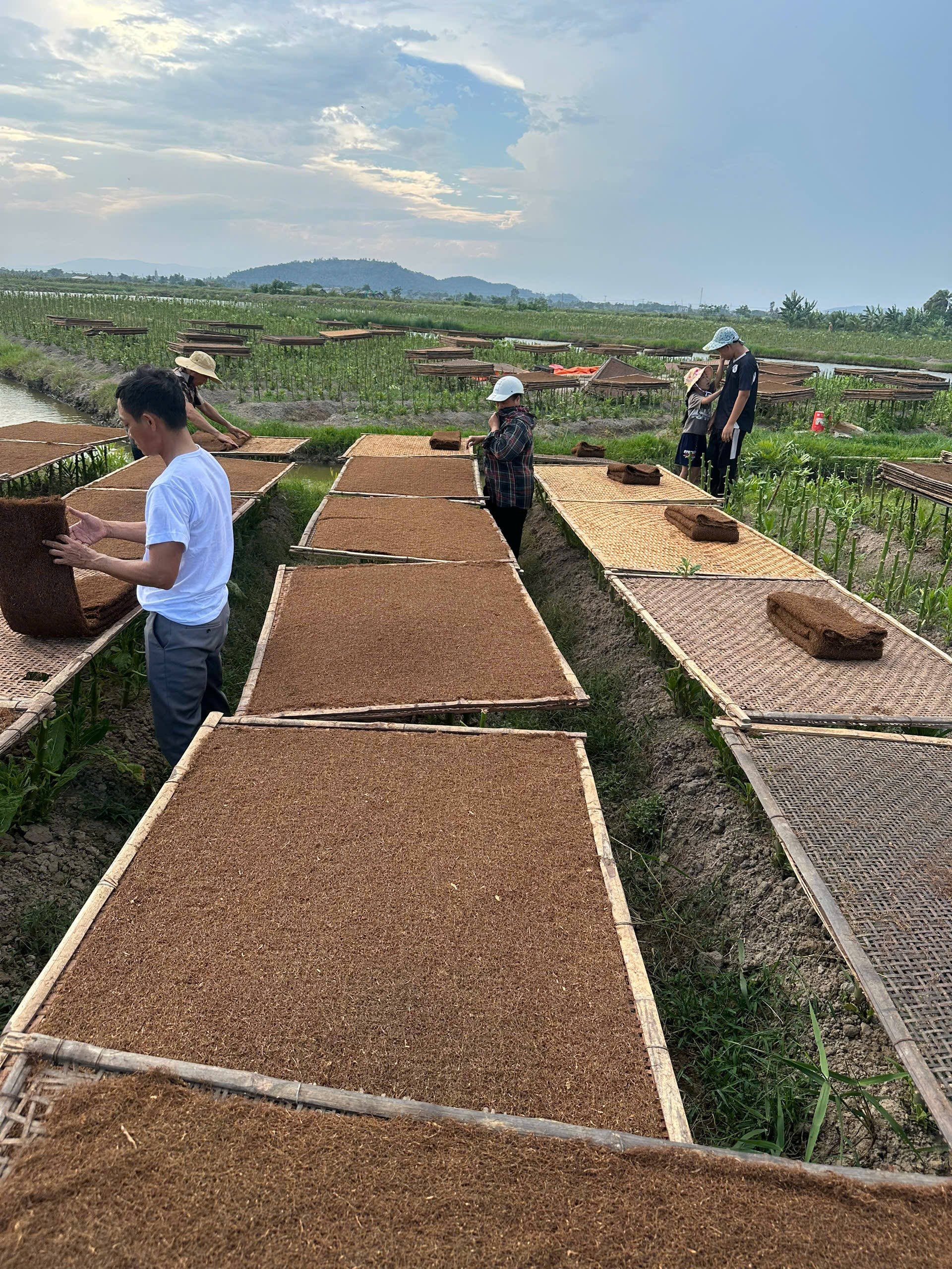 Thuốc Lào Thanh Hóa Giá Rẻ Có Nên Mua